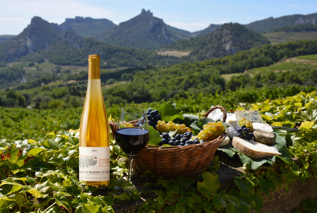 Bouteille de Muscat de Beaumes-de-Venise dans son environnement naturel
