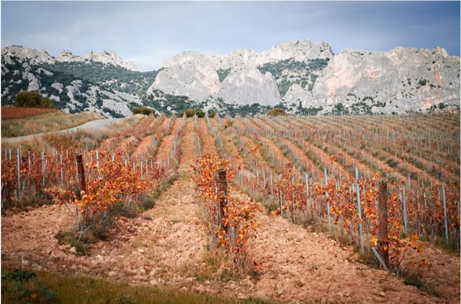Automne : 5 accords mets et vins du sud de la Vallée du Rhône qui surprennent vraiment